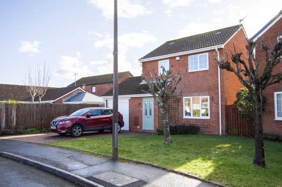 Bittern Way, Penarth
